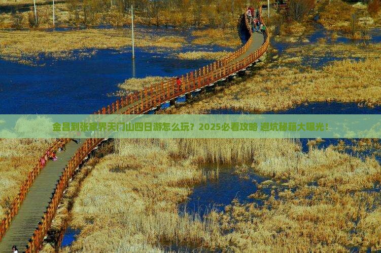 金昌到张家界天门山四日游