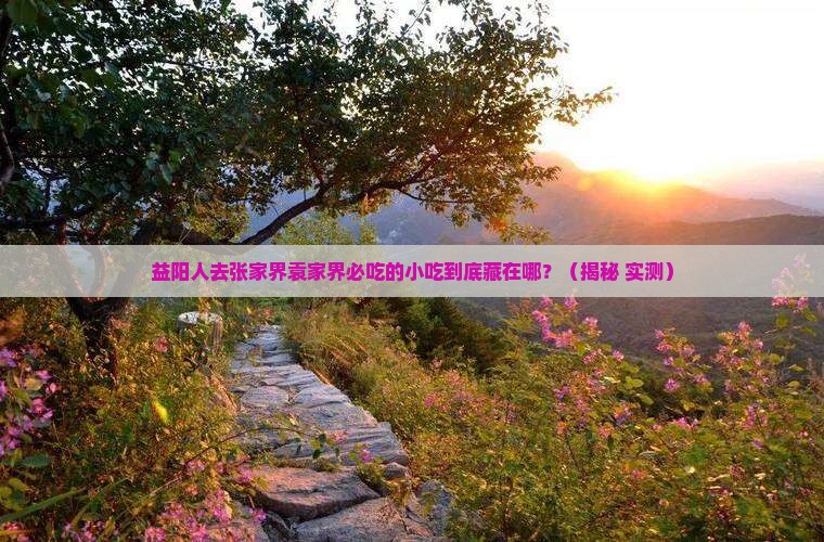 益阳去张家界袁家界旅游小吃