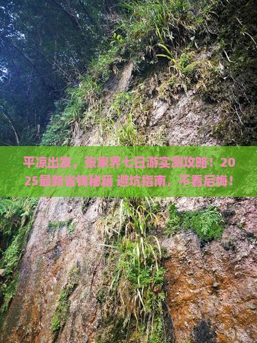 平凉到张家界七日游