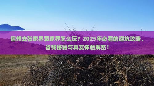 宿州去张家界袁家界旅行社