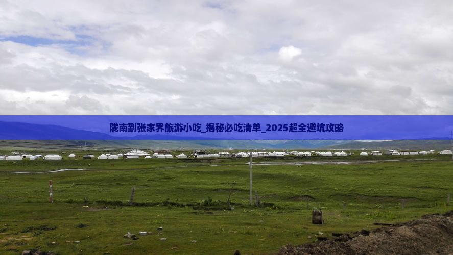 陇南到张家界旅游小吃
