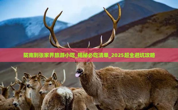 陇南到张家界旅游小吃