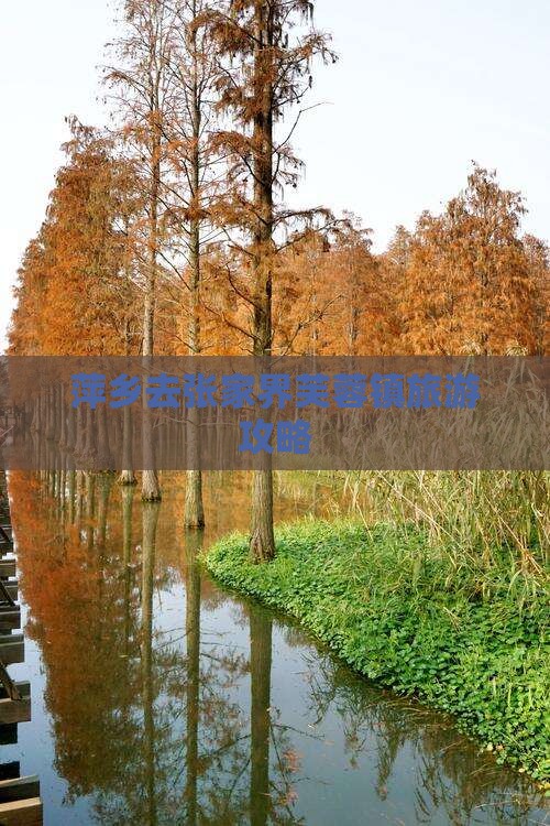 萍乡去张家界芙蓉镇旅游