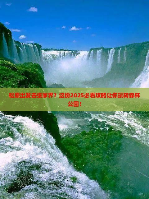 松原去张家界森林公园大型旅游团