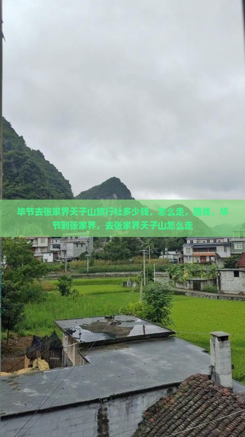 毕节去张家界天子山旅行社