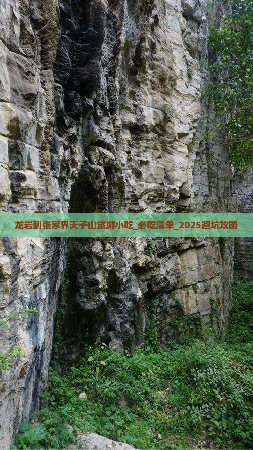 龙岩到张家界天子山旅游小吃