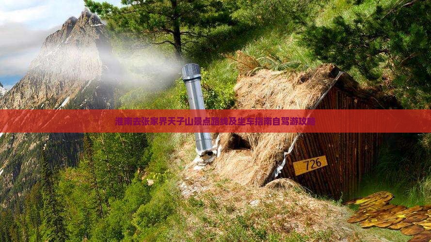 淮南去张家界天子山景点