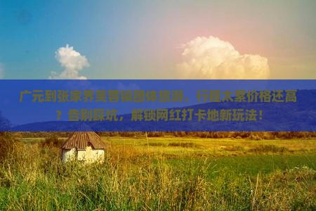 广元到张家界芙蓉镇团体旅游