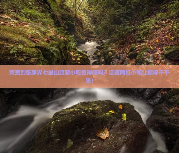 莱芜到张家界七星山旅游小吃