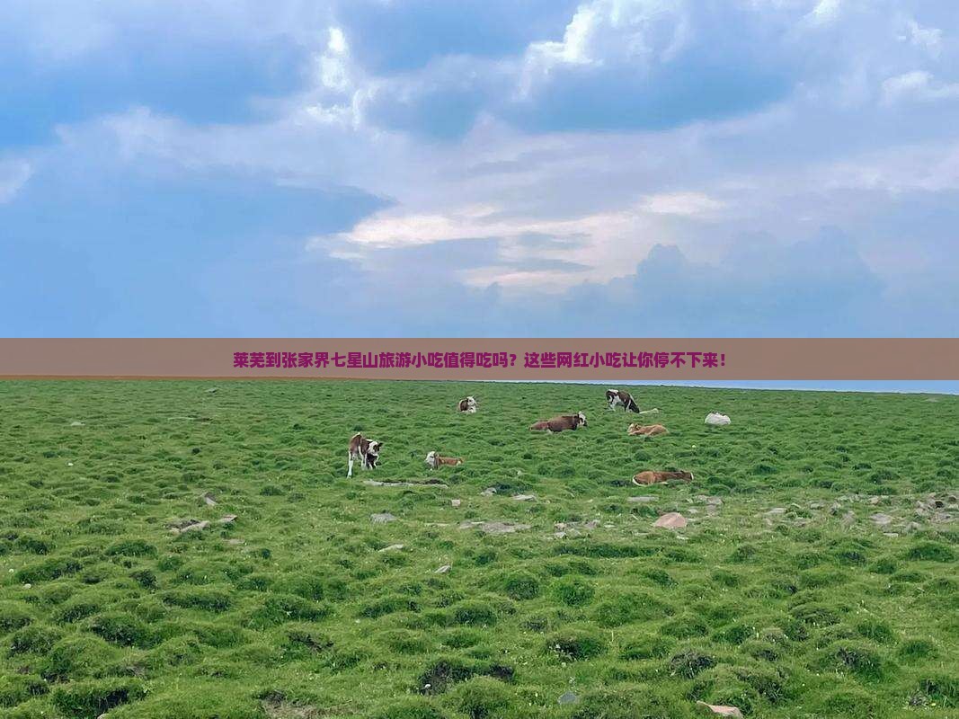 莱芜到张家界七星山旅游小吃
