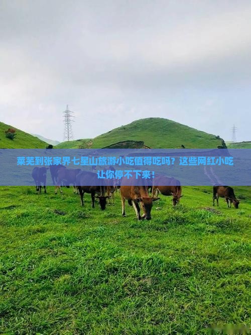 莱芜到张家界七星山旅游小吃