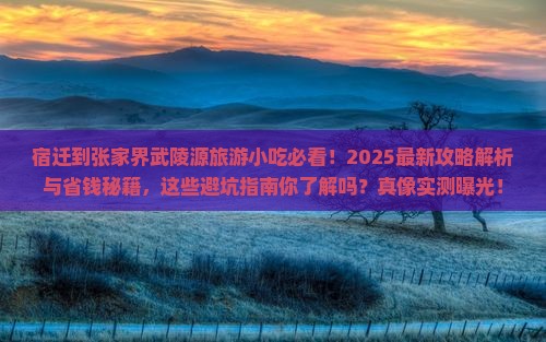 宿迁到张家界武陵源旅游小吃