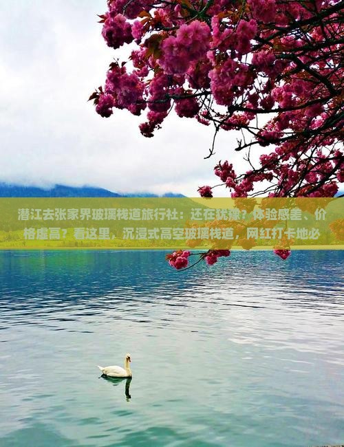 潜江去张家界玻璃栈道旅行社