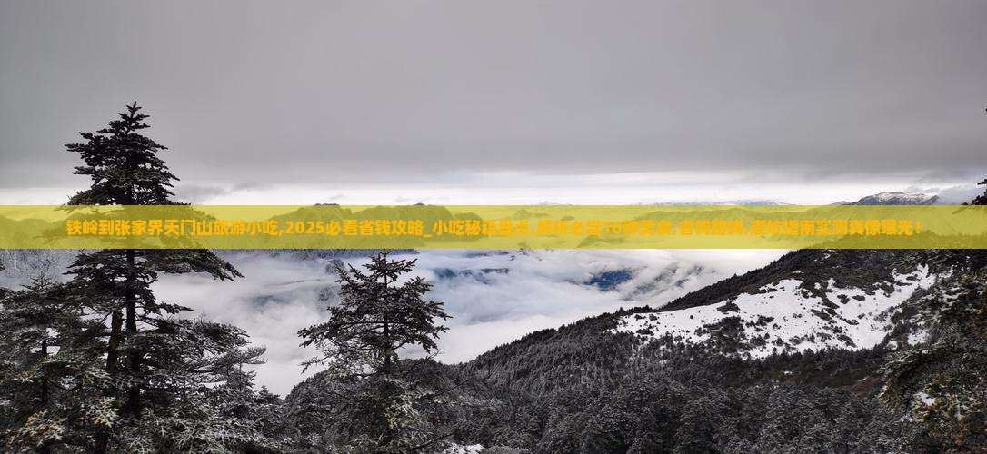 铁岭到张家界天门山旅游小吃