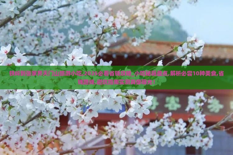 铁岭到张家界天门山旅游小吃