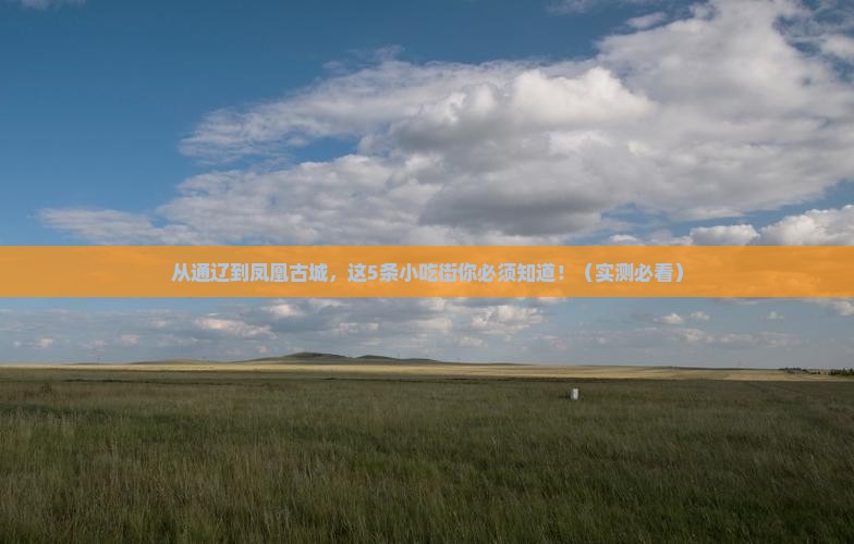 通辽市去张家界凤凰古城旅游小吃