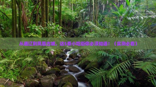 通辽市去张家界凤凰古城旅游小吃