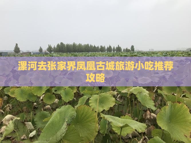 漯河去张家界凤凰古城旅游小吃
