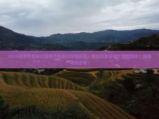春节到张家界森林公园自由行