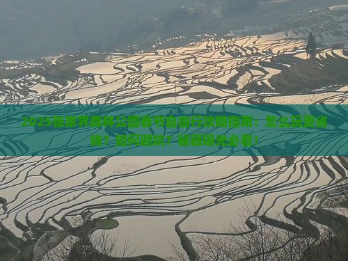 春节到张家界森林公园自由行