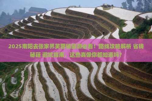 南阳去张家界芙蓉镇旅游