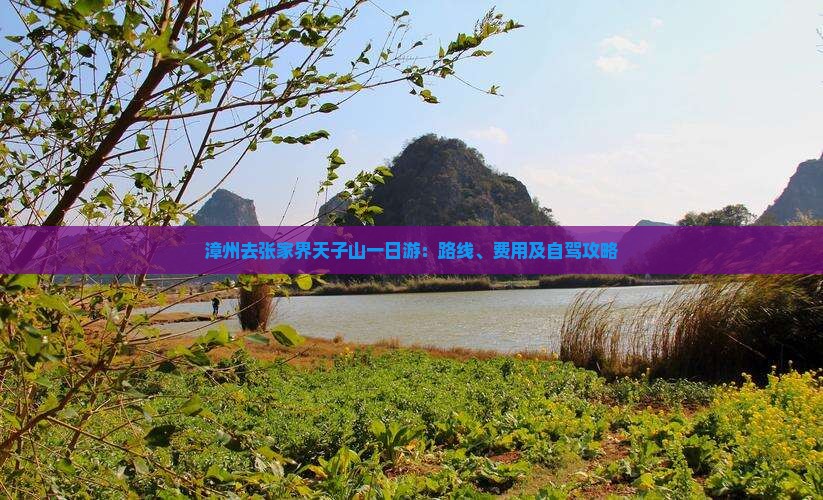漳州去张家界天子山一日游：路线、费用及自驾攻略