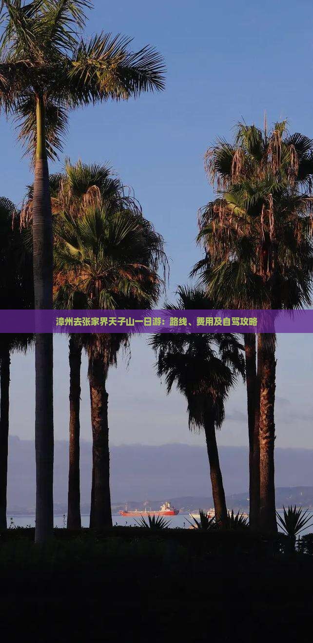 漳州去张家界天子山一日游：路线、费用及自驾攻略