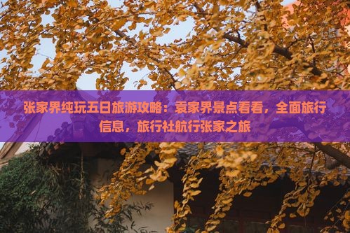 张家界纯玩五日旅游攻略：袁家界景点看看，全面旅行信息，旅行社航行张家之旅