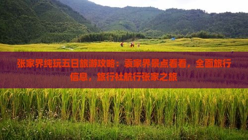 张家界纯玩五日旅游攻略：袁家界景点看看，全面旅行信息，旅行社航行张家之旅