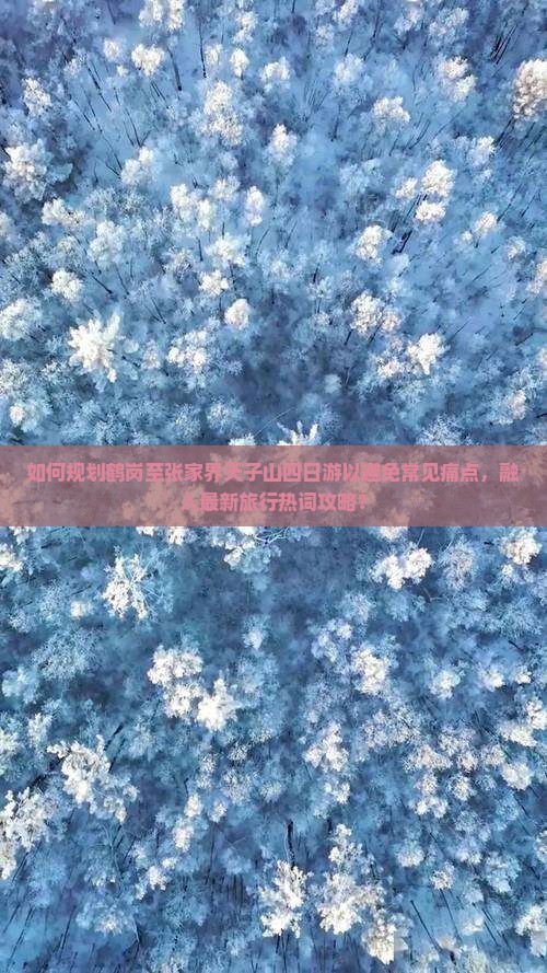 如何规划鹤岗至张家界天子山四日游以避免常见痛点，融入最新旅行热词攻略？