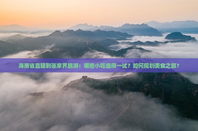 海南省直辖到张家界旅游：哪些小吃值得一试？如何规划美食之旅？