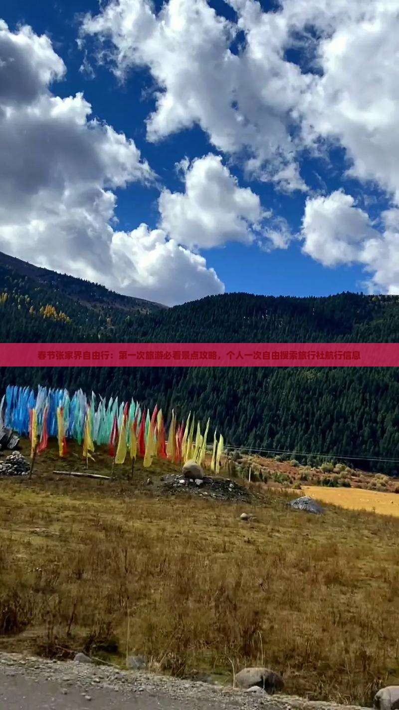 春节张家界自由行：第一次旅游必看景点攻略，个人一次自由搜索旅行社航行信息