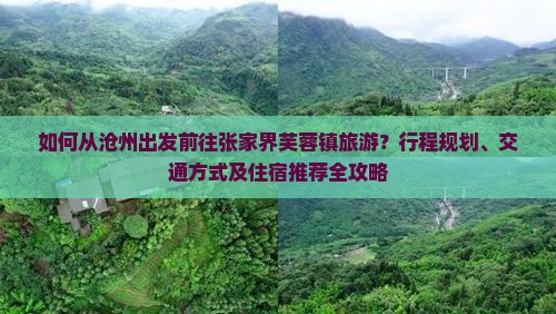 如何从沧州出发前往张家界芙蓉镇旅游？行程规划、交通方式及住宿推荐全攻略