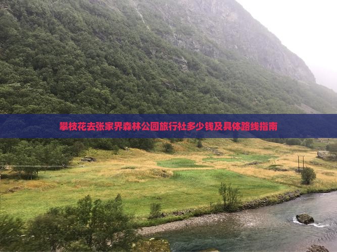 攀枝花去张家界森林公园旅行社多少钱及具体路线指南
