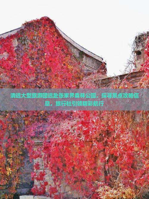 清远大型旅游团远赴张家界森林公园，探寻景点攻略信息，旅行社引领精彩航行