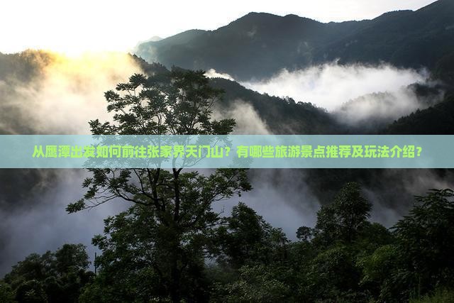 从鹰潭出发如何前往张家界天门山？有哪些旅游景点推荐及玩法介绍？