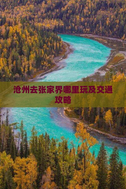 沧州去张家界哪里玩及交通攻略