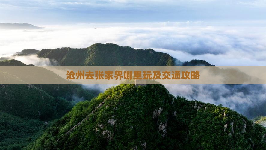 沧州去张家界哪里玩及交通攻略