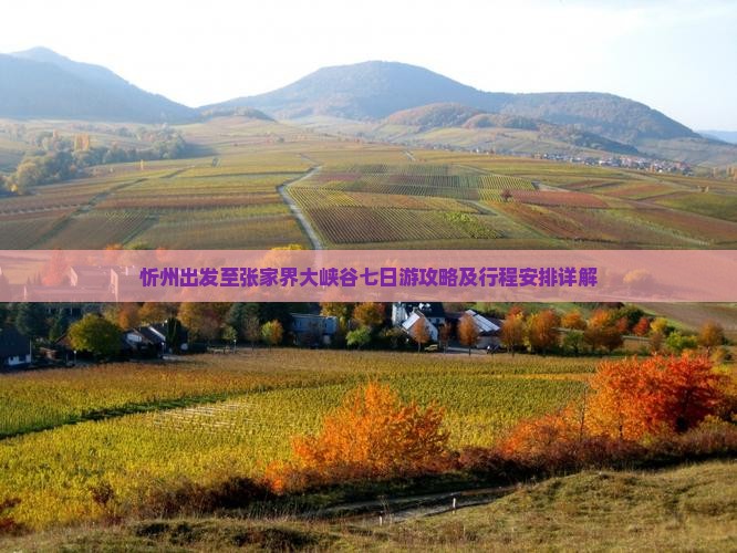 忻州出发至张家界大峡谷七日游攻略及行程安排详解