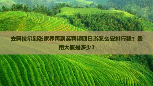 去阿拉尔到张家界再到芙蓉镇四日游怎么安排行程？费用大概是多少？