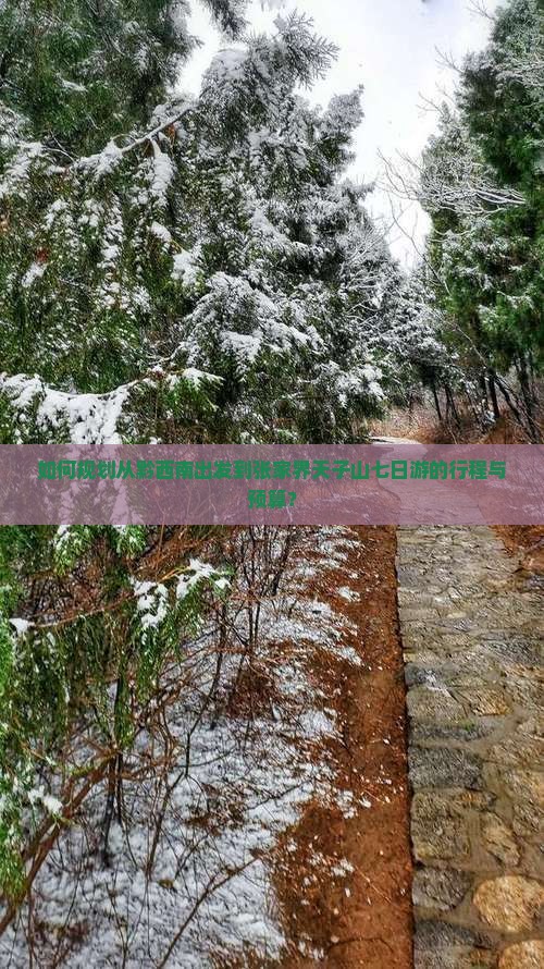 如何规划从黔西南出发到张家界天子山七日游的行程与预算？