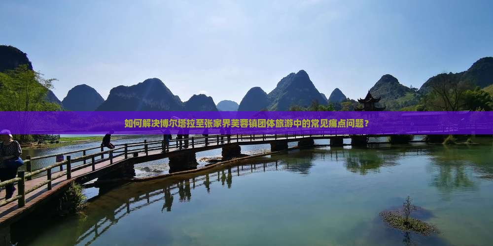 如何解决博尔塔拉至张家界芙蓉镇团体旅游中的常见痛点问题？