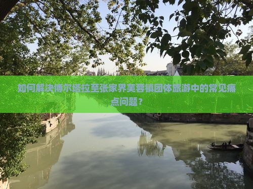 如何解决博尔塔拉至张家界芙蓉镇团体旅游中的常见痛点问题？