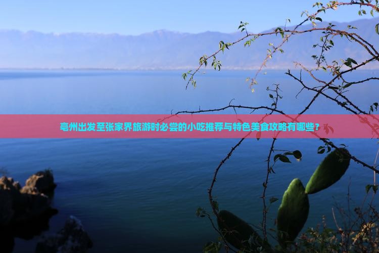亳州出发至张家界旅游时必尝的小吃推荐与特色美食攻略有哪些？