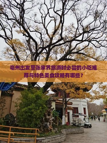 亳州出发至张家界旅游时必尝的小吃推荐与特色美食攻略有哪些？