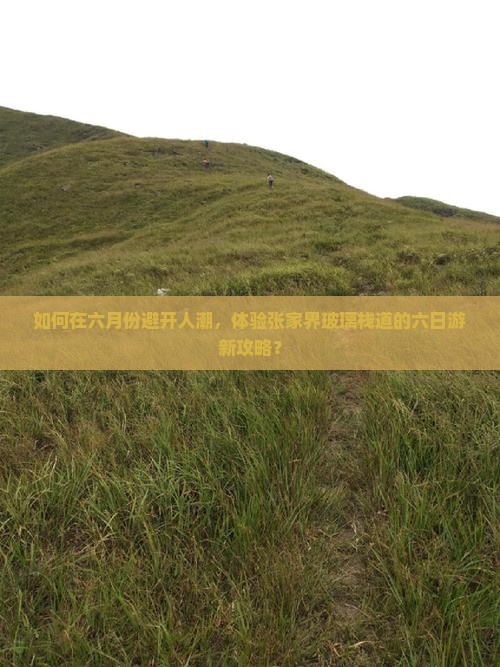 如何在六月份避开人潮,体验张家界玻璃栈道的六日游新攻略? 如何在六月份避开人潮,体验张家界玻璃栈道的六日游新攻略?