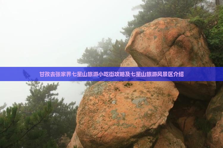 甘孜去张家界七星山旅游小吃街攻略及七星山旅游风景区介绍