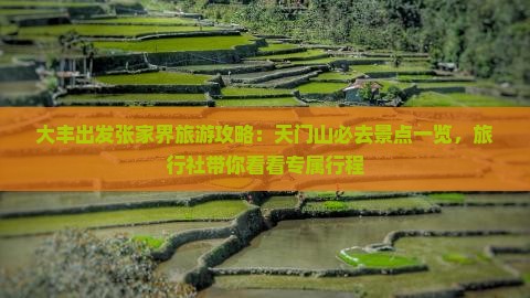 大丰出发张家界旅游攻略：天门山必去景点一览，旅行社带你看看专属行程