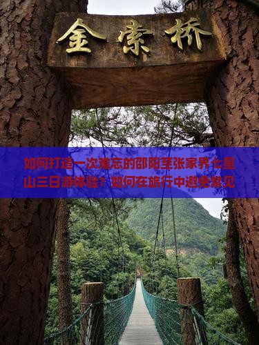 如何打造一次难忘的邵阳至张家界七星山三日游体验？如何在旅行中避免常见痛点？