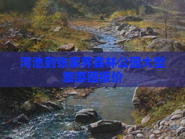 河池到张家界森林公园大型旅游团报价